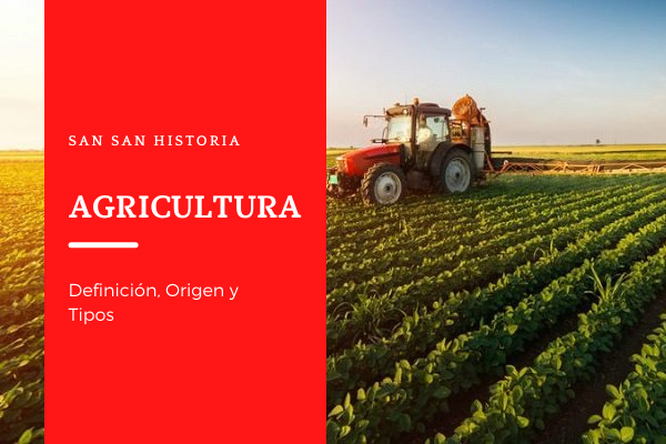Agricultura~Definición, Historia, Tipos, Características y Consecuencias