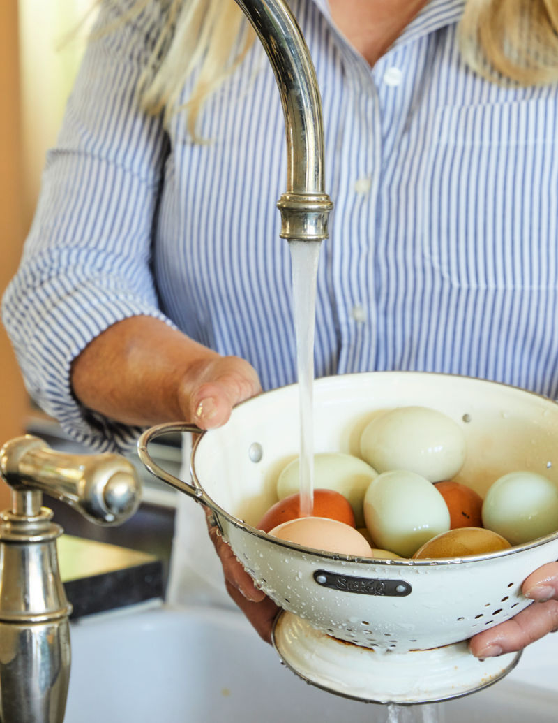 Eggs: To Wash or Not to Wash? • The Prairie Homestead
