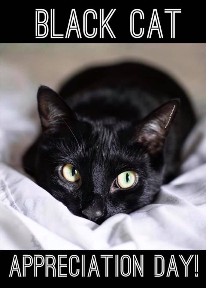 National Black Cat Appreciation Day