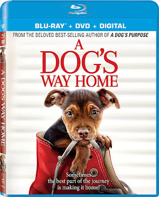 A Dogs Way Home Blu Ray