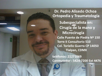 Dr. Pedro Alisedo Ochoa