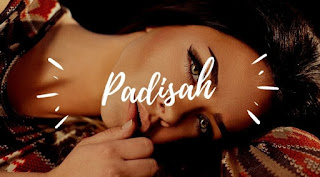 Padisah Turkish Song Lyrics + English Translation