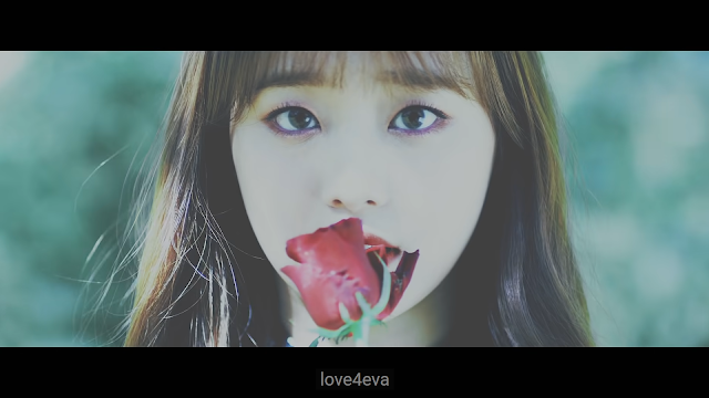 LOONA Chuu love4eva