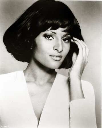 Sexy Pam Grier: Pam grier Portait from the 70's