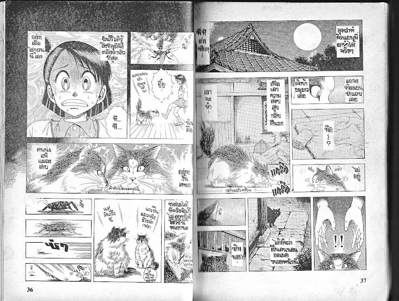 Shin Kotaro Makaritoru! - หน้า 19
