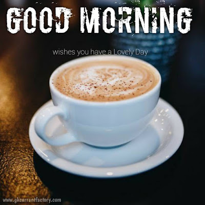 Beautiful Good Morning Coffee Images, Pics With Love Free Download Good Morning Coffee Images, Good Morning Coffee Pic, Good Morning Images Of coffee, Good Morning Images Coffee, Good Morning coffee Love, Good Morning Images With Hot Coffee Free Download