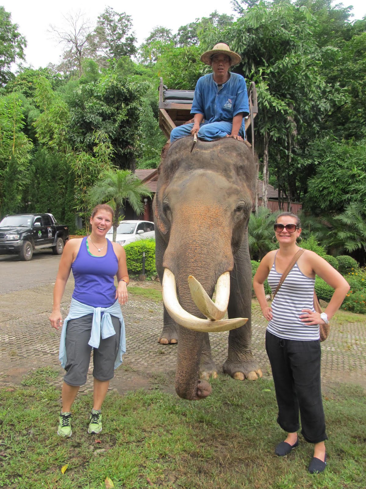 Ms. Specht's Asia Trip: Elephant rides and show at the Elephant