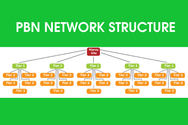 PBN network structure