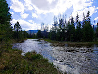 River flowing away through foliage and trees with a blue, cloudy sky in the background