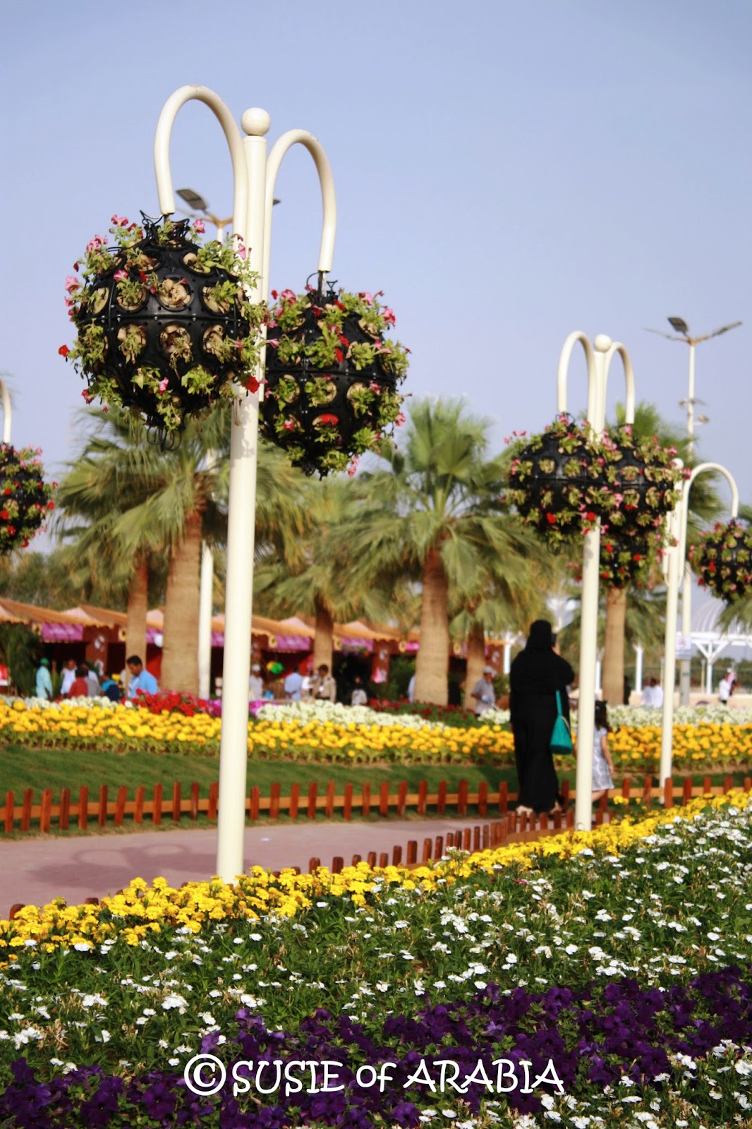 Jeddah Daily Photo Yanbu Hanging Flower Baskets