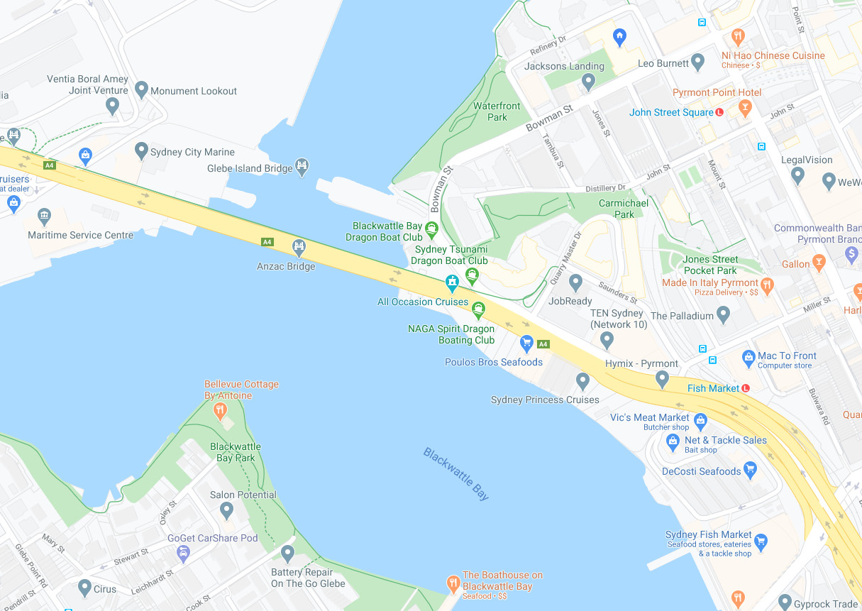 Happy Antipodean Anzac Bridge commuter