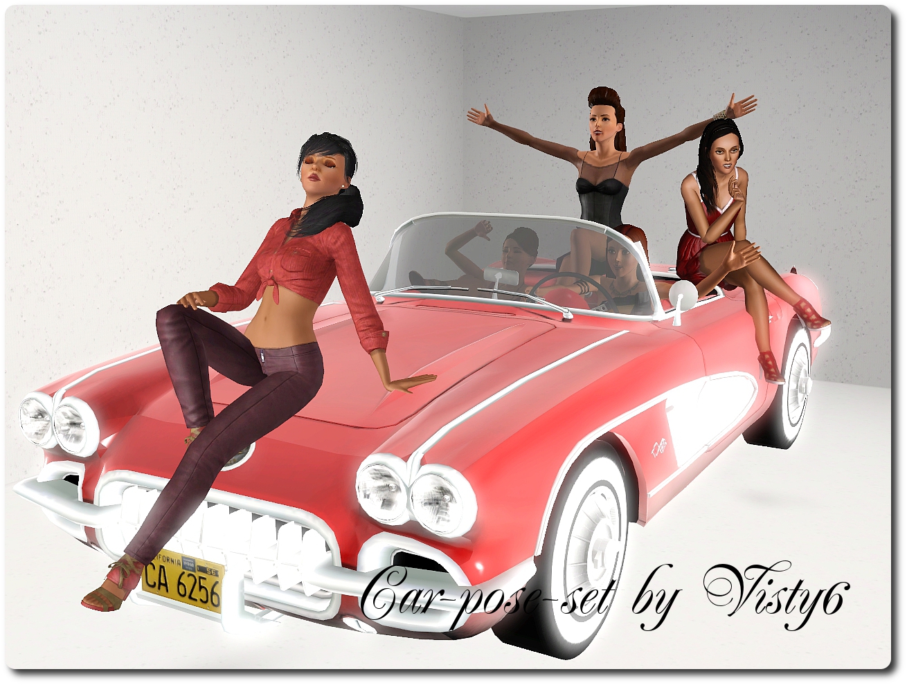 Visty6: Car-pose-set