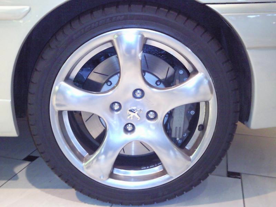 Peugeot 306 HDI Break de Chasse : one shot