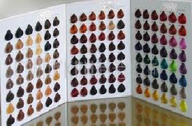 Loreal Hair Color Chart on New Loreal Hair Color Chart For Women 2012   Penelope Cruz Hair