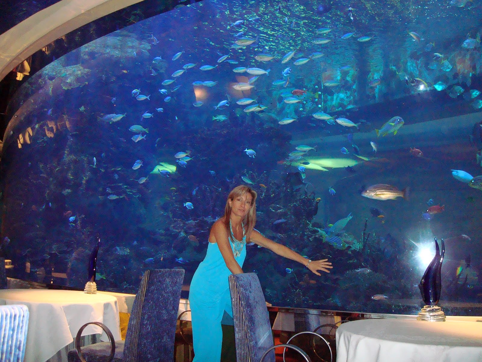 Excitement N Net Underwater Restaurant in Dubai Al Mahara