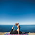 Swing for Exercise, Swing for Yoga Swing for Exercise, Swing for Yoga