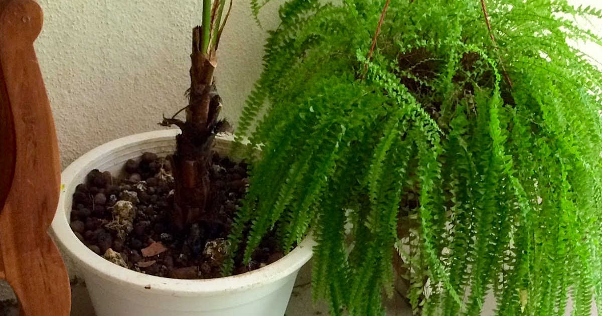 Sketsa Bunga Contoh Lukisan Pasu Bunga Pecah Di Atas Lantai