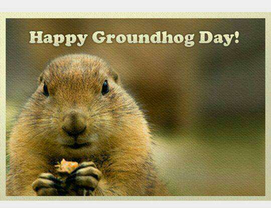 Groundhog Day Wishes Images download