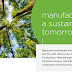 Building a Sustainable Future: 8 Ways We Reduce Our Environmental Impact #infographic