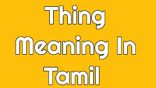 Thing Meaning In Tamil