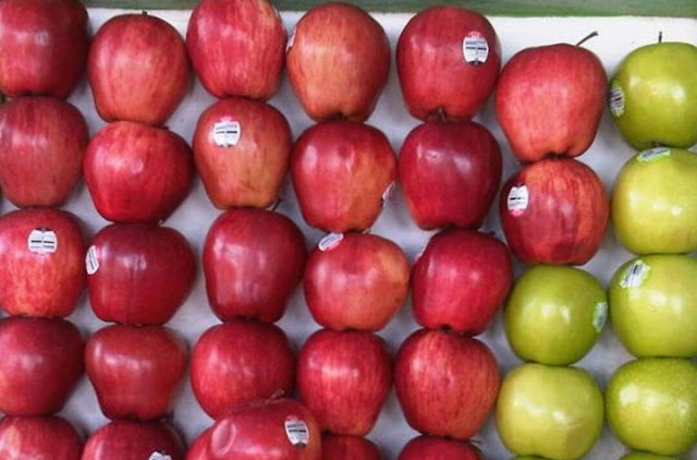 Know 7 Varieties of Healthy Foods for the Heart Know 7 Varieties of Healthy Foods for the Heart