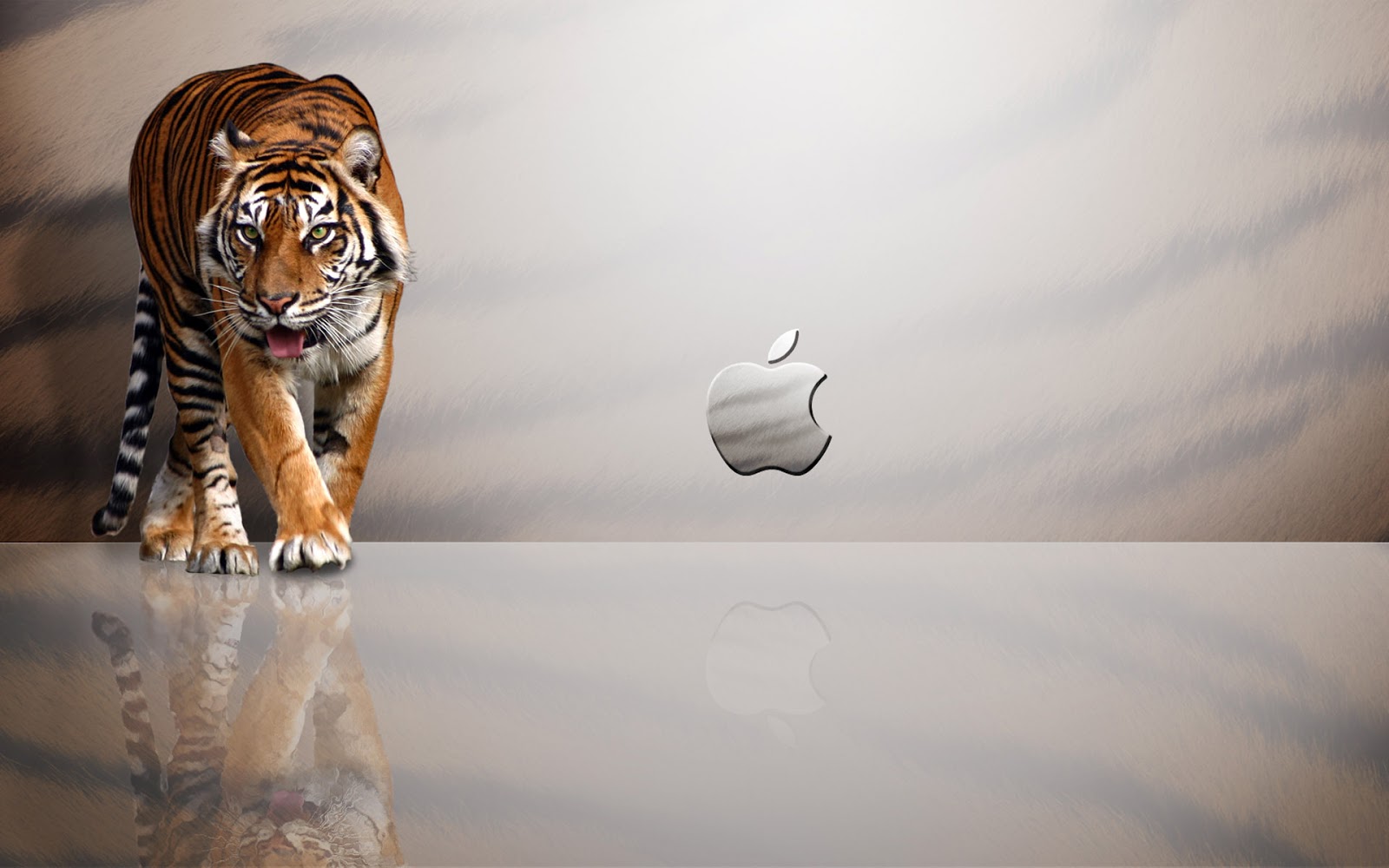 tiger paw for mac download tiger paw for mac download