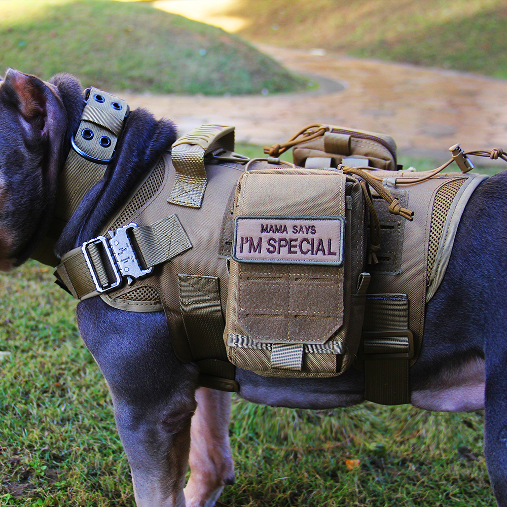 AegisTac Official AegisTac Tactical Service Dog Training Vest Police AegisTac Official AegisTac Tactical Service Dog Training Vest Police