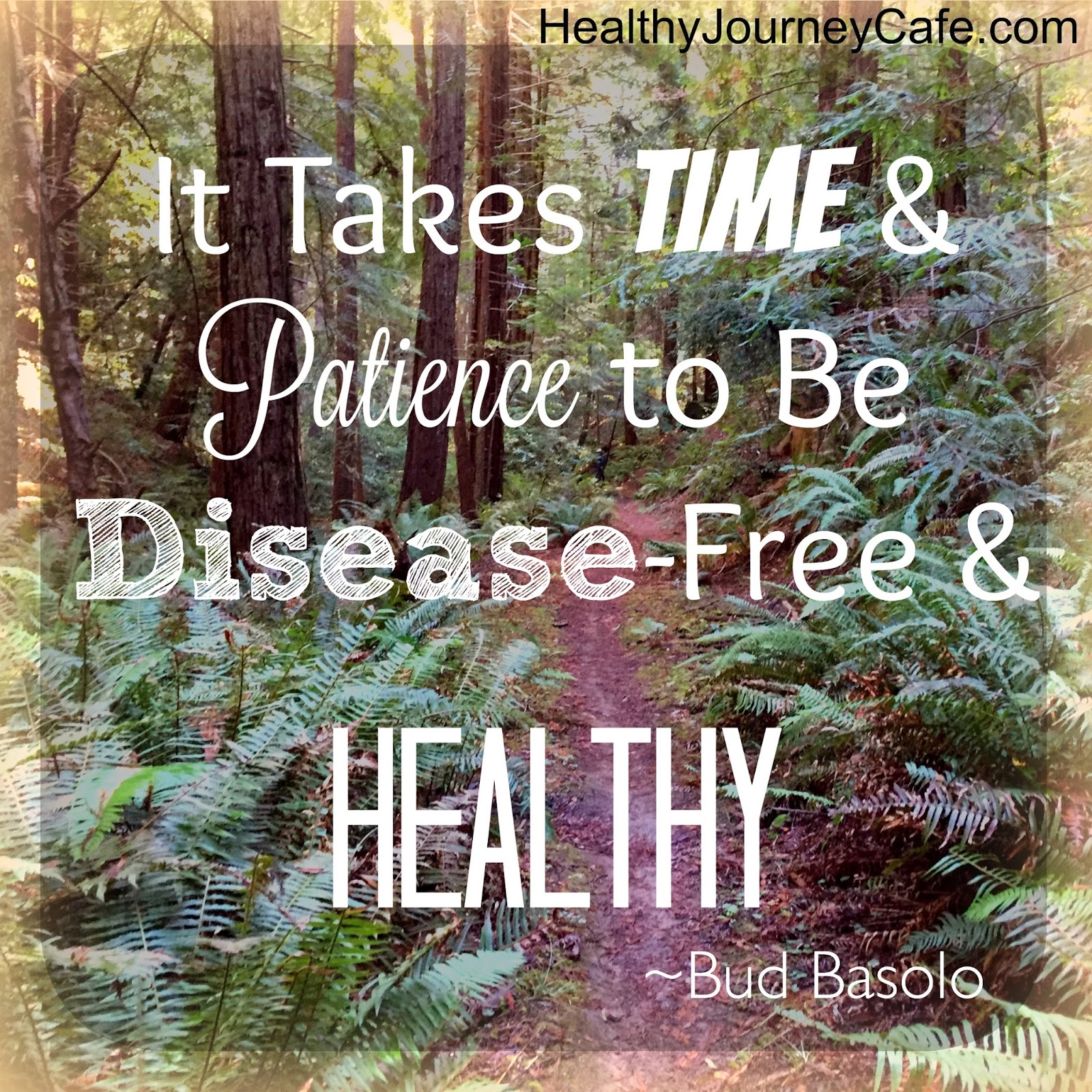 It Takes Time & Patience... ~ Healthy Journey Cafe1600 x 1600