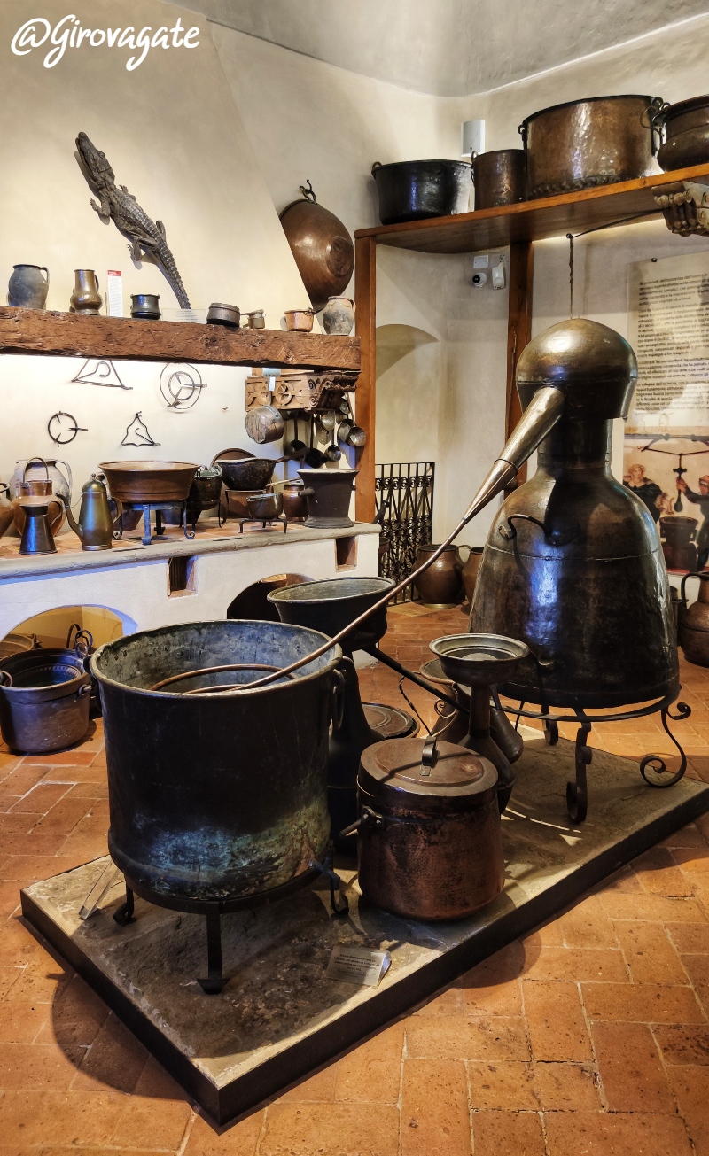 Aboca Museum Sansepolcro