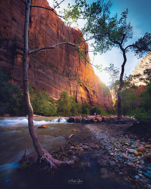 gorgeous natural landscape in california