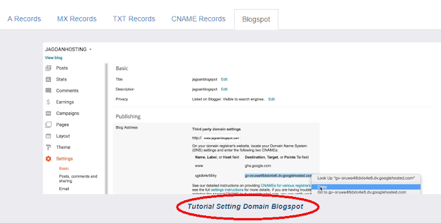 Cara Mengganti Domain Blogspot Dengan Domain Sendiri