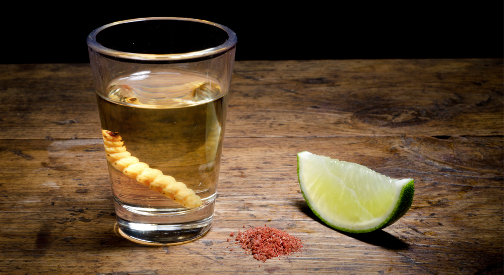Cervezal El tríptico del agave pulque, mezcal y tequila