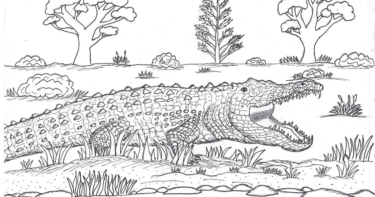 Robin's Great Coloring Pages: Salt Water Crocodile