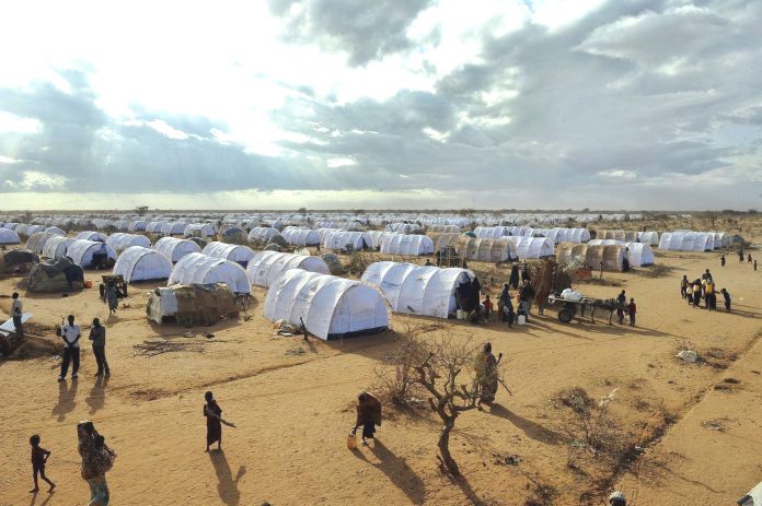 Maris Davis La Convenzione di Ginevra compie 70 anni