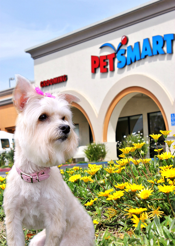 Momma Told Me Refresh Your Pet For Spring With PetSmartGrooming + DIY