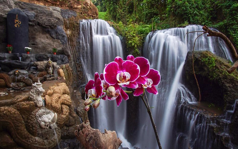 Beji Griya Punggul waterfall tour