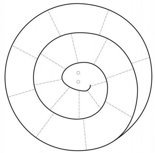 Sindhu's cocoon: Spinning Snake - Paper Collage Activity