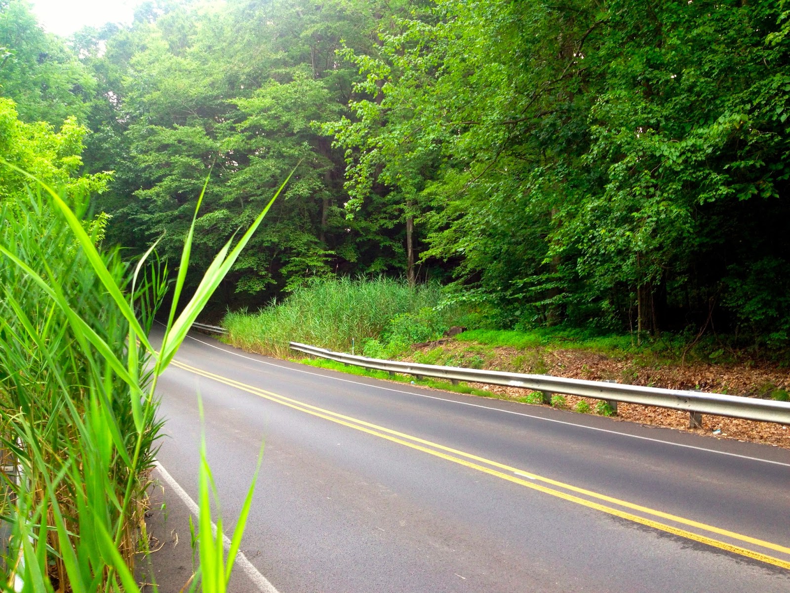 Information about Media that you won't get anywhere else..... The Best Water You Could Get