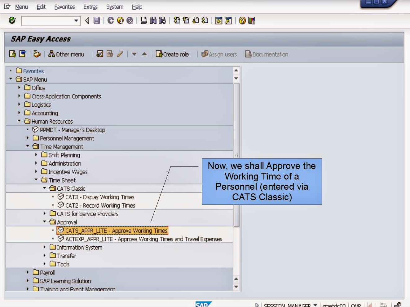 青蛙SAP分享 Froggy's SAP sharing SAP HCM Time Management CATS Approval