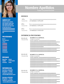 Curriculum vitae format in word image