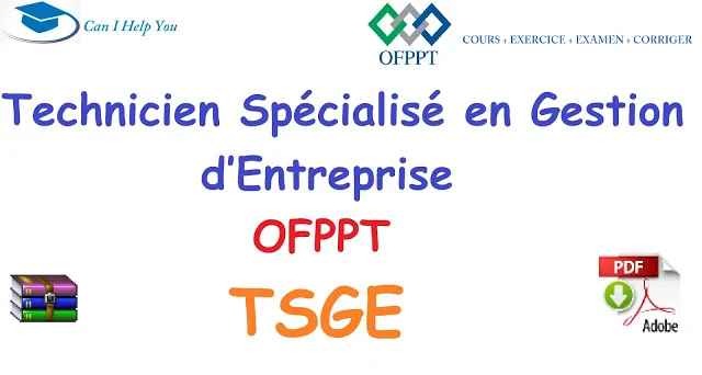 Métier et Formation Technicien Spécialisé en Gestion des entreprises TSGE