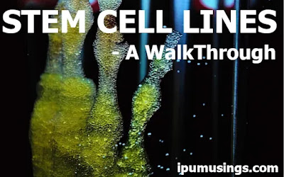 STEM CELL LINES - A WalkThrough #stemcells #biochemistry #biology #blastocyst #ipumusings #eduvictors