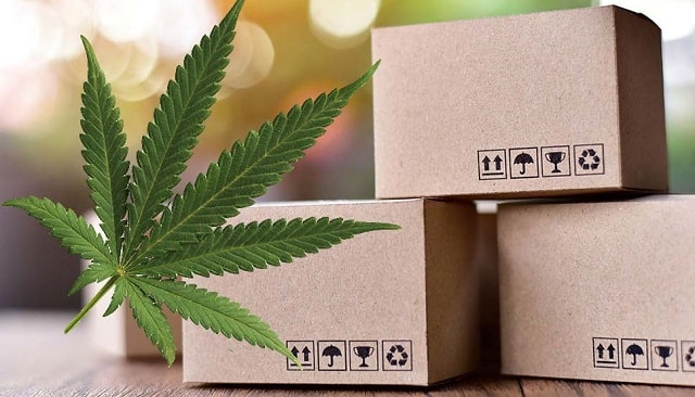 cbd packaging cannabidiol box