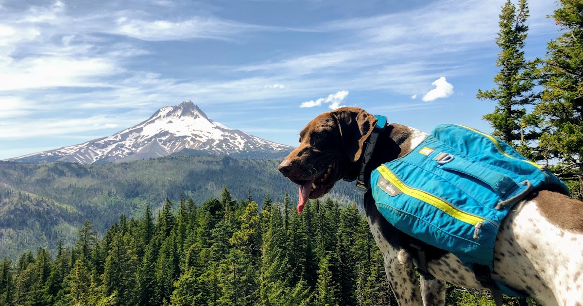 Badger Creek Wilderness loop