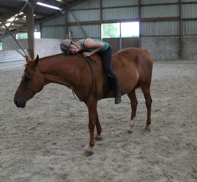 La Crinière Blonde, blog de réflexions équestres.: Le cheval facile ou  gentil alias le mal aimé des cavaliers.