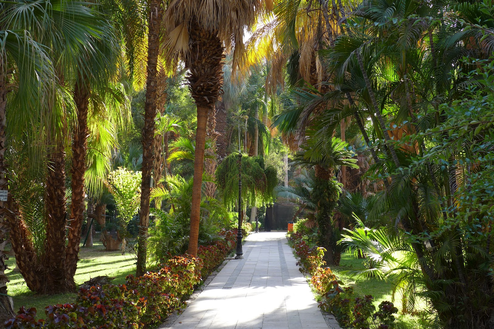 Jeffrey Bale's World of Gardens The Gardens of Ancient Egypt