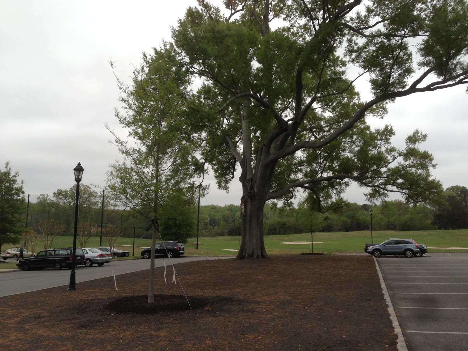 A Picture is Worth a Thousand Words WILLOW OAKS COUNTRY CLUB