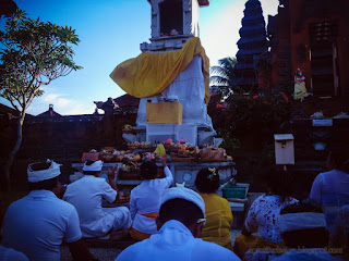 Balinese People Praying In The Early Morning At The Family Temple Celebrating Galungan Holiday