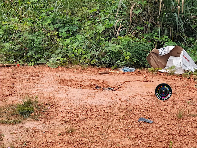 Polícia é acionada para possível encontro de cadáver humano, mas ossada era de cachorro