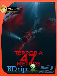 Terror a 47 metros (2017) BDRIP 1080p Latino [GoogleDrive] SXGO